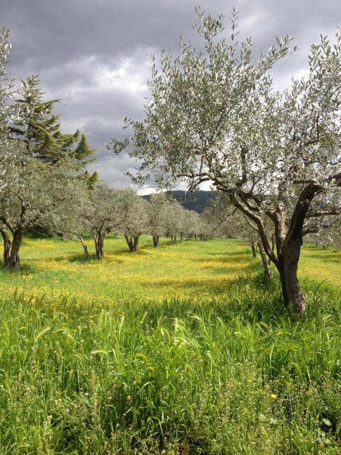 Gli Ulivi D'Argento Villa Assisi Luaran gambar